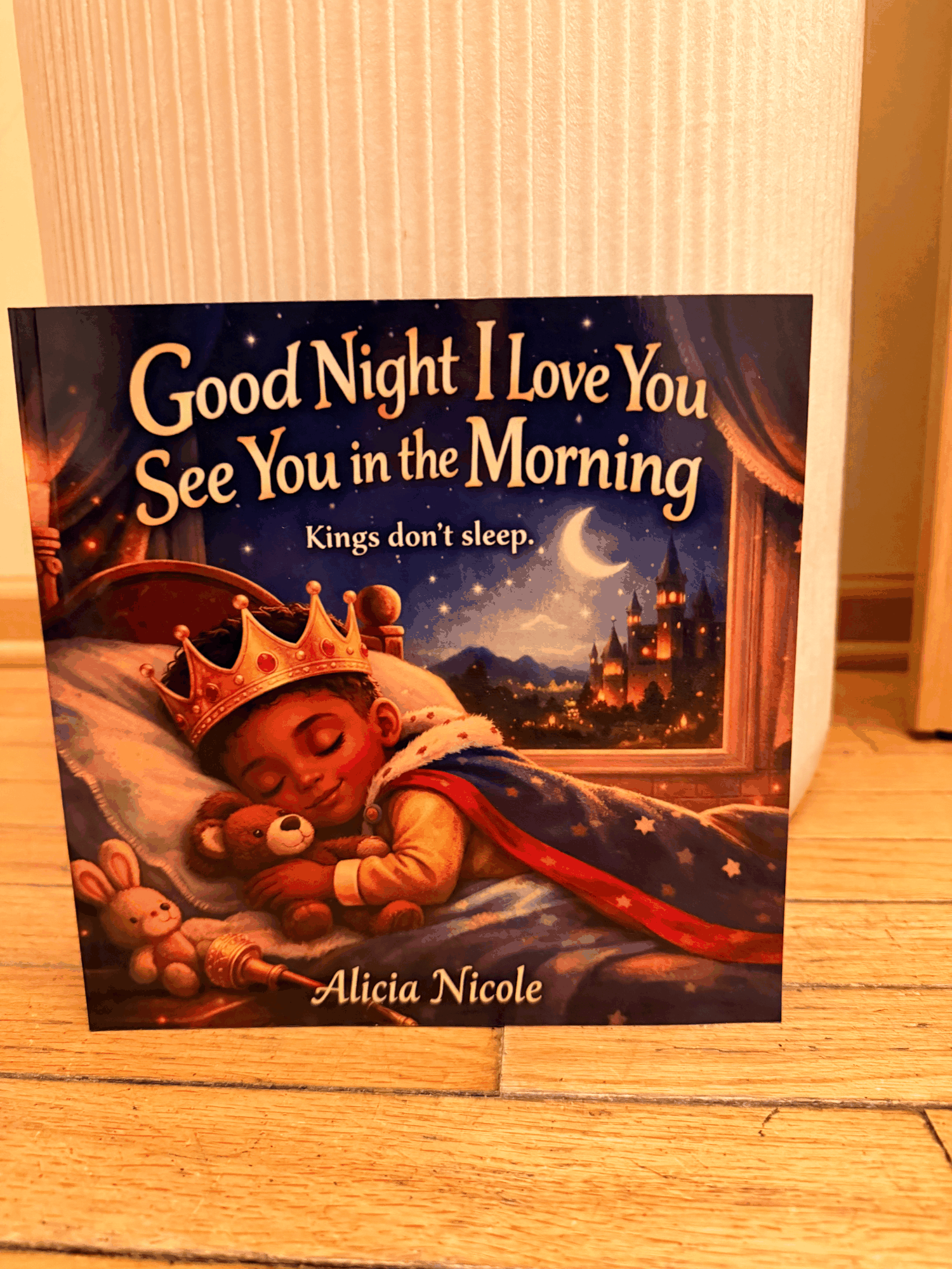 Good Night, I Love You. See You in the Morning. (Paperback)